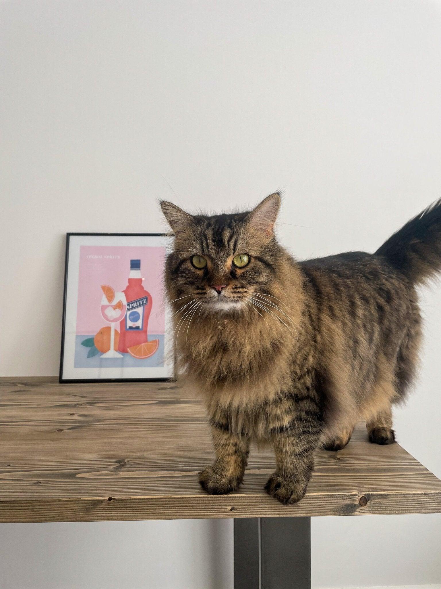 Canterbury | Rustic Solid Wood Home Office Computer Desk - Onyx - The Rustic Grove Co.